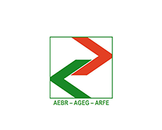 Asociación de Regiones Fronterizas Europeas - ARFE Logo
