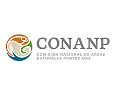 Comisión Nacional de Áreas Naturales Protegidas Logo