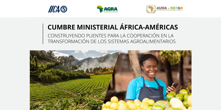 Cumbre África-Américas pide crear mecanismos permanentes de integración agro