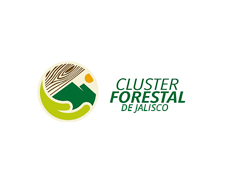 Centro Articulador Del Sector Productivo Forestal De Jalisco Logo