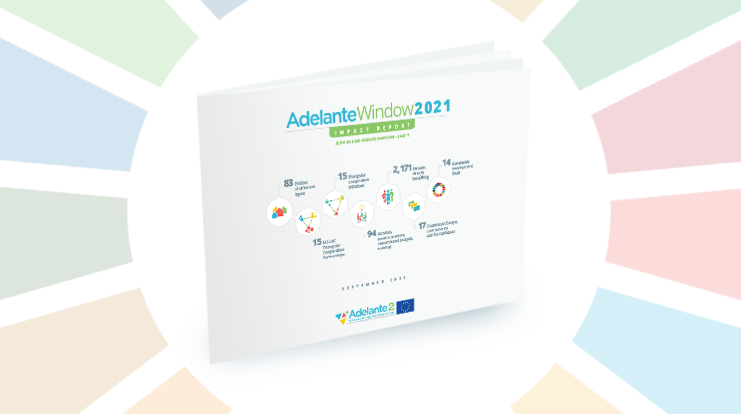 ADELANTE Window 2021 Impact Report