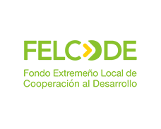 FELCODE Logo